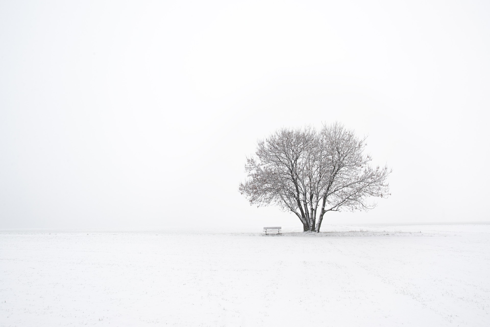 winter-3974511_1920